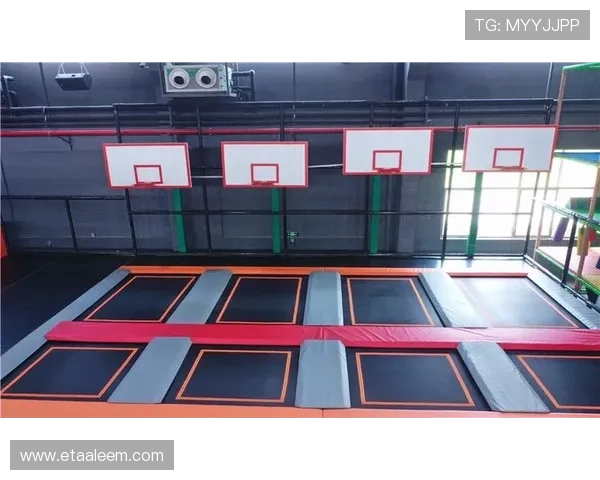 乐动体育蹦床如何实现趣味性和安全性的完美结合体验